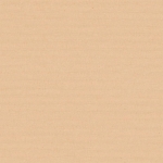 Loneta tintado liso beige