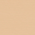 Loneta tintado liso beige