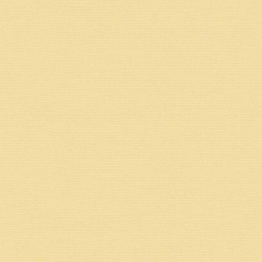 Loneta tintado liso beige