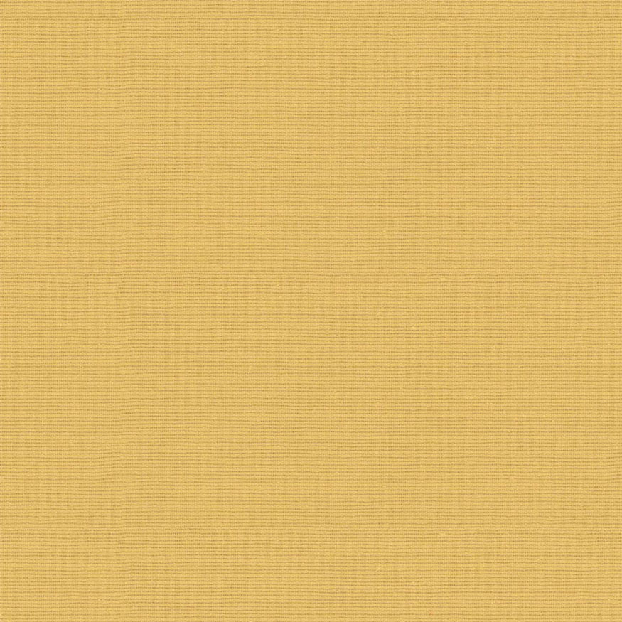 Loneta tintado liso beige