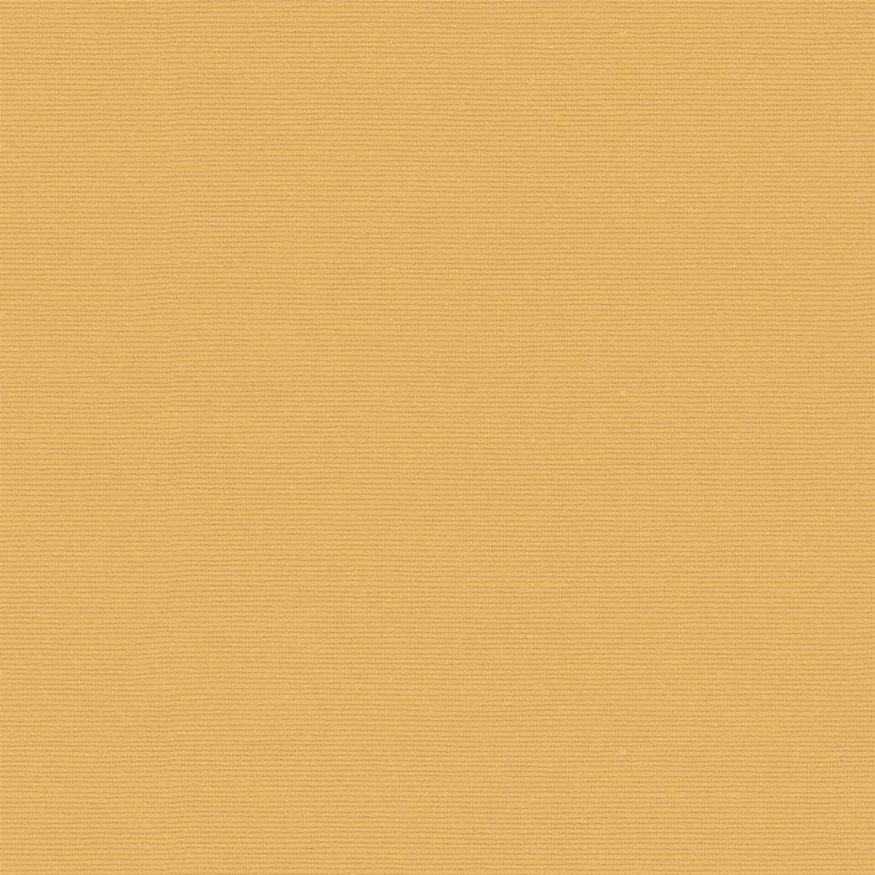 Loneta tintado liso beige