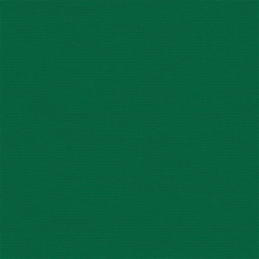 Loneta tintado liso verde