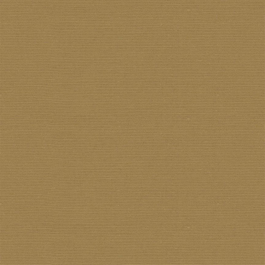 Loneta tintado liso beige