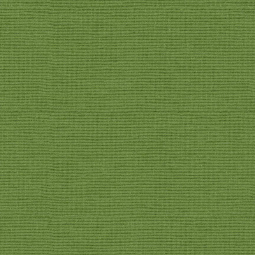 Loneta tintado liso verde