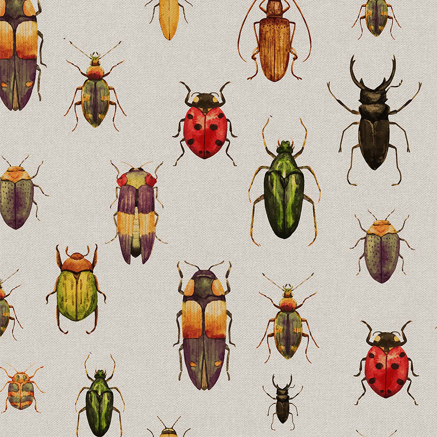Insects 150