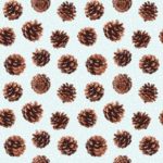 lonetas estampadas venta online por metro