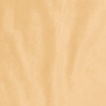 tela Velvet color beigeterciopelo brillante