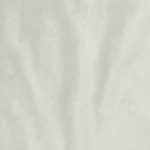 À¸´bright ,Velvet,Fabric
