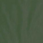 VELVET VERDE